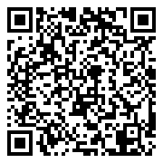 西游风云-0.1折畅游长安城